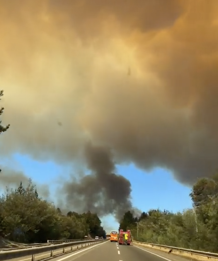 La Minuta AM: Estado de catástrofe en Ñuble y Biobío: Cientos de viviendas afectadas y 14 mil hectáreas consumidas por incendios forestales&nbsp;
