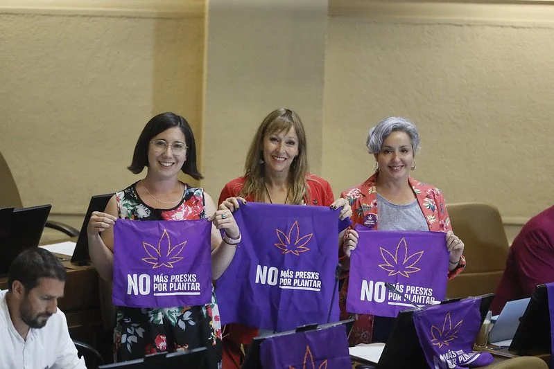 La Minuta AM: Senado despacha “Ley Anti Narco”: Norma permite uso medicinal de la cannabis&nbsp;