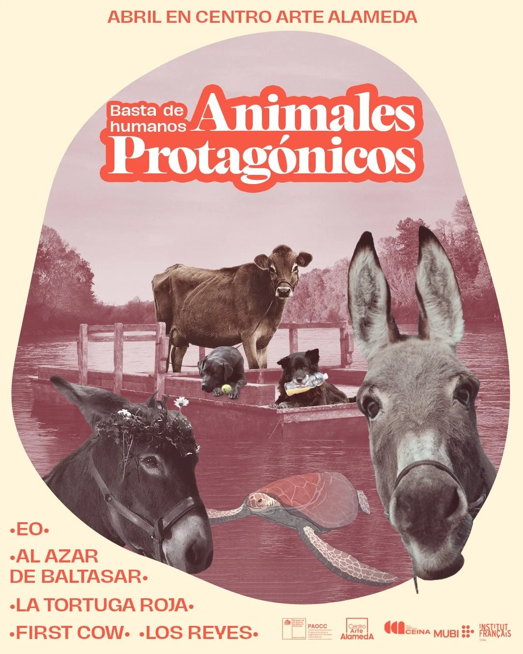 Película nominada al Oscar, "EO", se estrena esta semana en Centro Arte Alameda