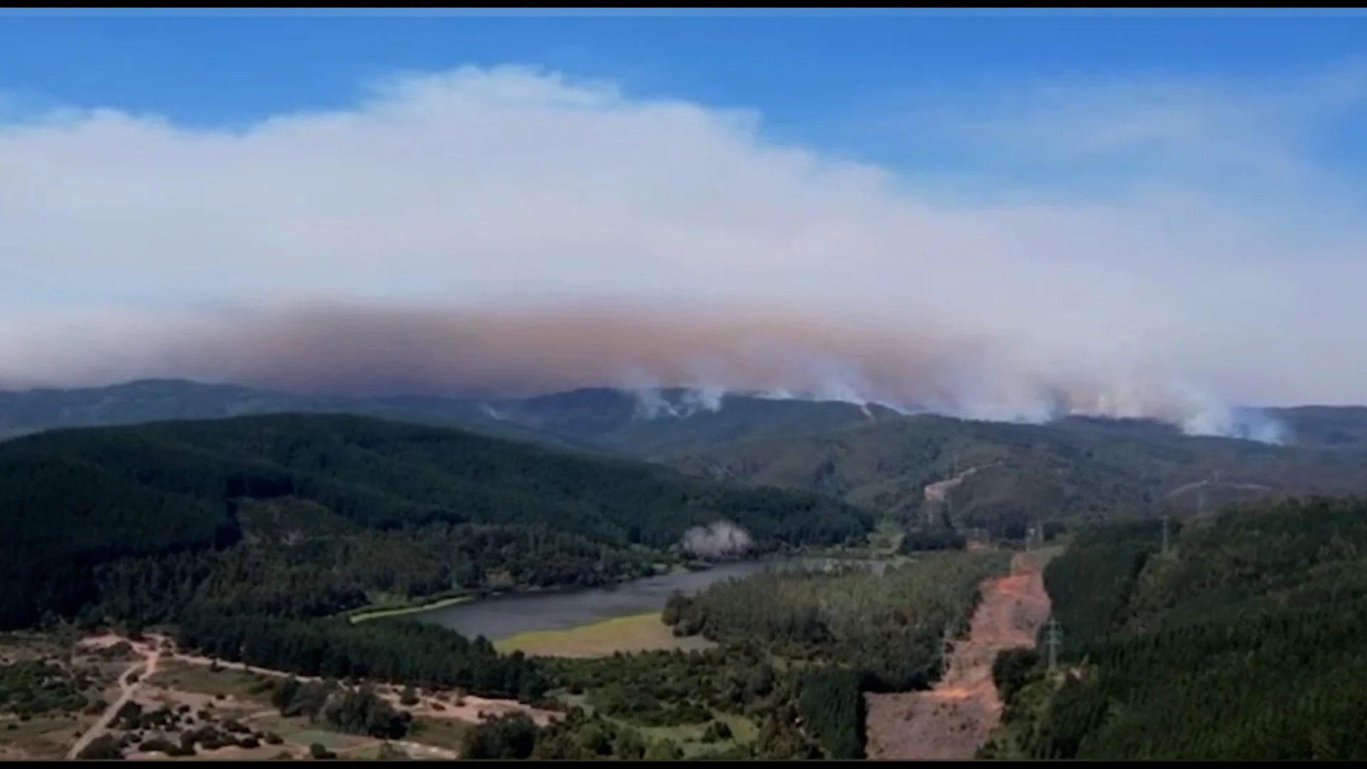 Ministerio de Ciencia y ANID lanzan concurso para la recuperación post incendios forestales