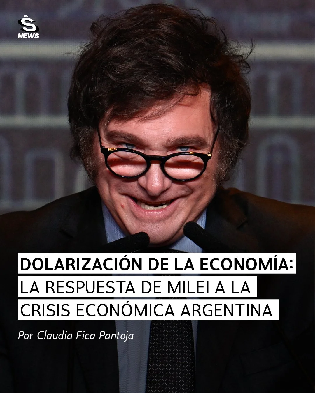 Dolarización de la economía:  La respuesta de Milei a la crisis económica argentina
