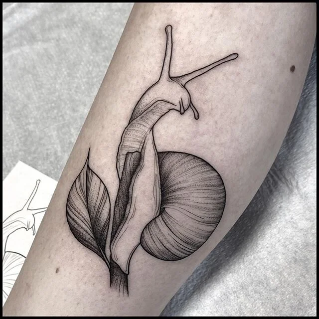 snail from my mini flash sheets! I still have a bunch of these left that you can find on my flash page 💙