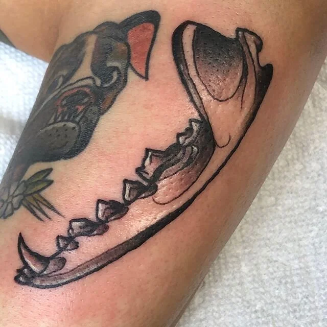 ✨A cute jawbone I got to do a while back! There's just something so cool about tattoos like this, I'm always happy to do skull and bones tattoos 💀☠️✨⁠
.⁠
.⁠
This design is available to be tattooed!⁠
.⁠
.⁠
🌙As always DM If interested in getting my w