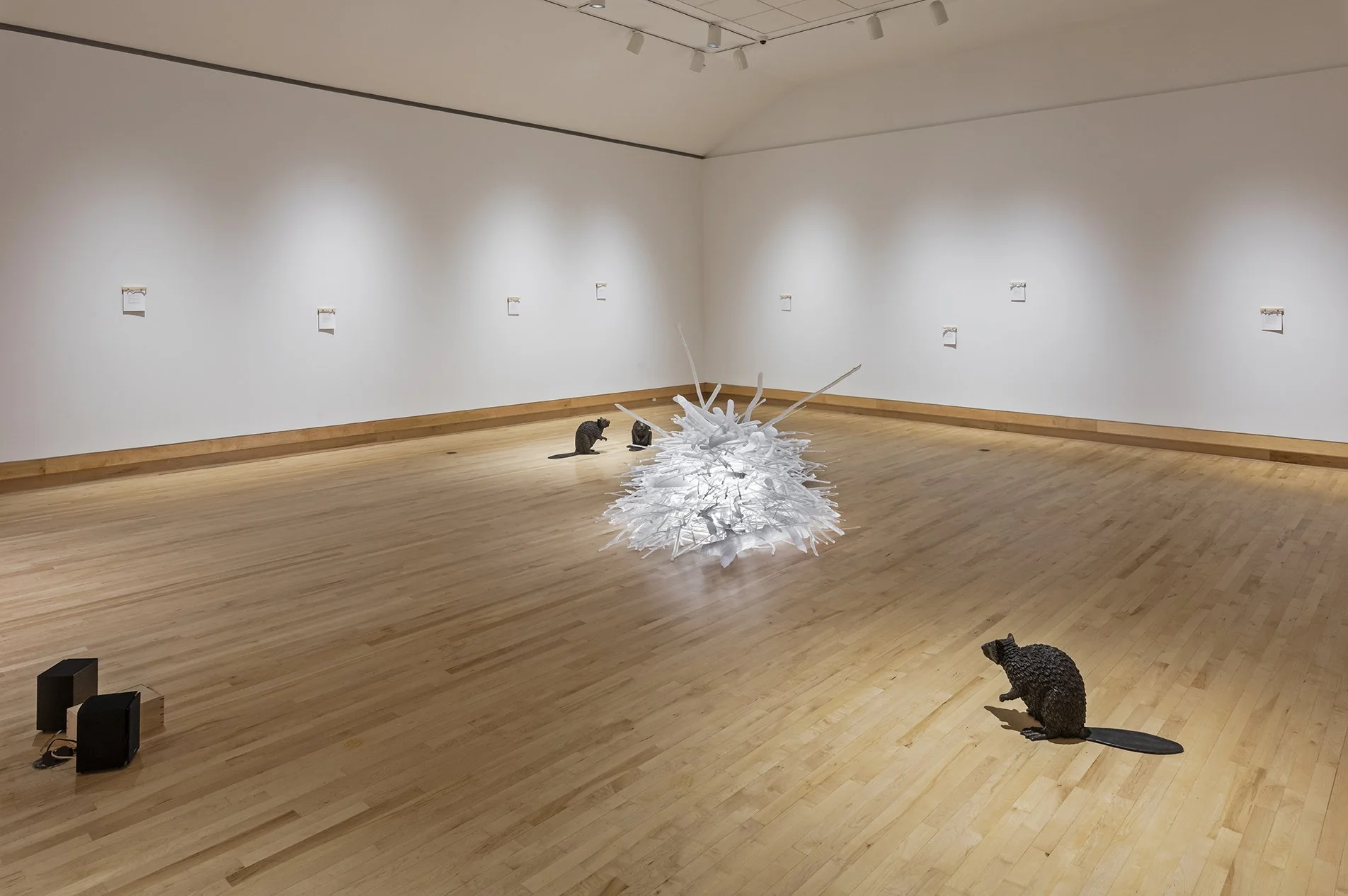Varley Art Gallery of Markham_Refuge 2018_AWilliams_Canada House_01_web.jpg