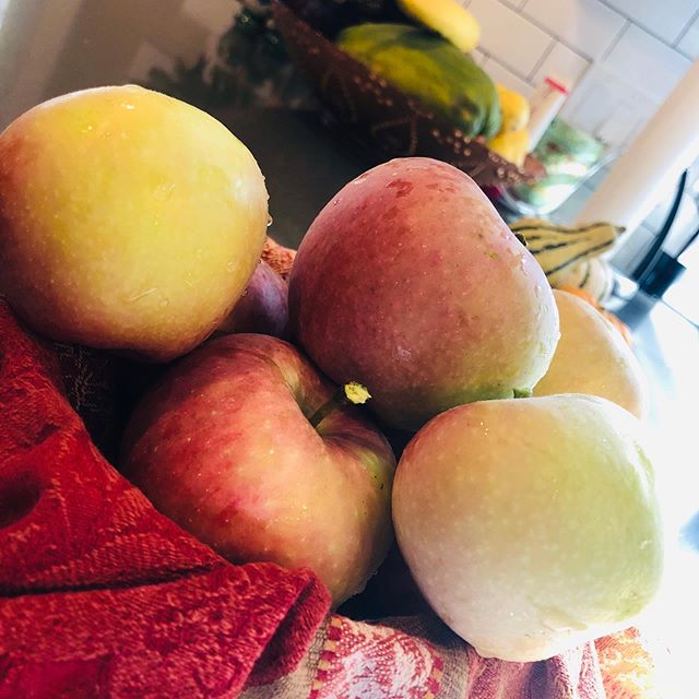 Our first batch of #apples from our Columnar Scarlet Sentinel Apple tree! So #tasty. Crunchy and sweet. We got a dwarf tree last year for the deck so the deer and bear couldn&rsquo;t steal the #fruit. There&rsquo;s an #applepie in our future! 😋😋😋 