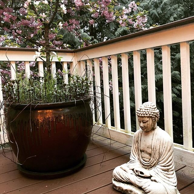 Happy #EarthDay 50! The #Buddha and I thanked our mother for the blessings she bestows. #gratitude #inspiration