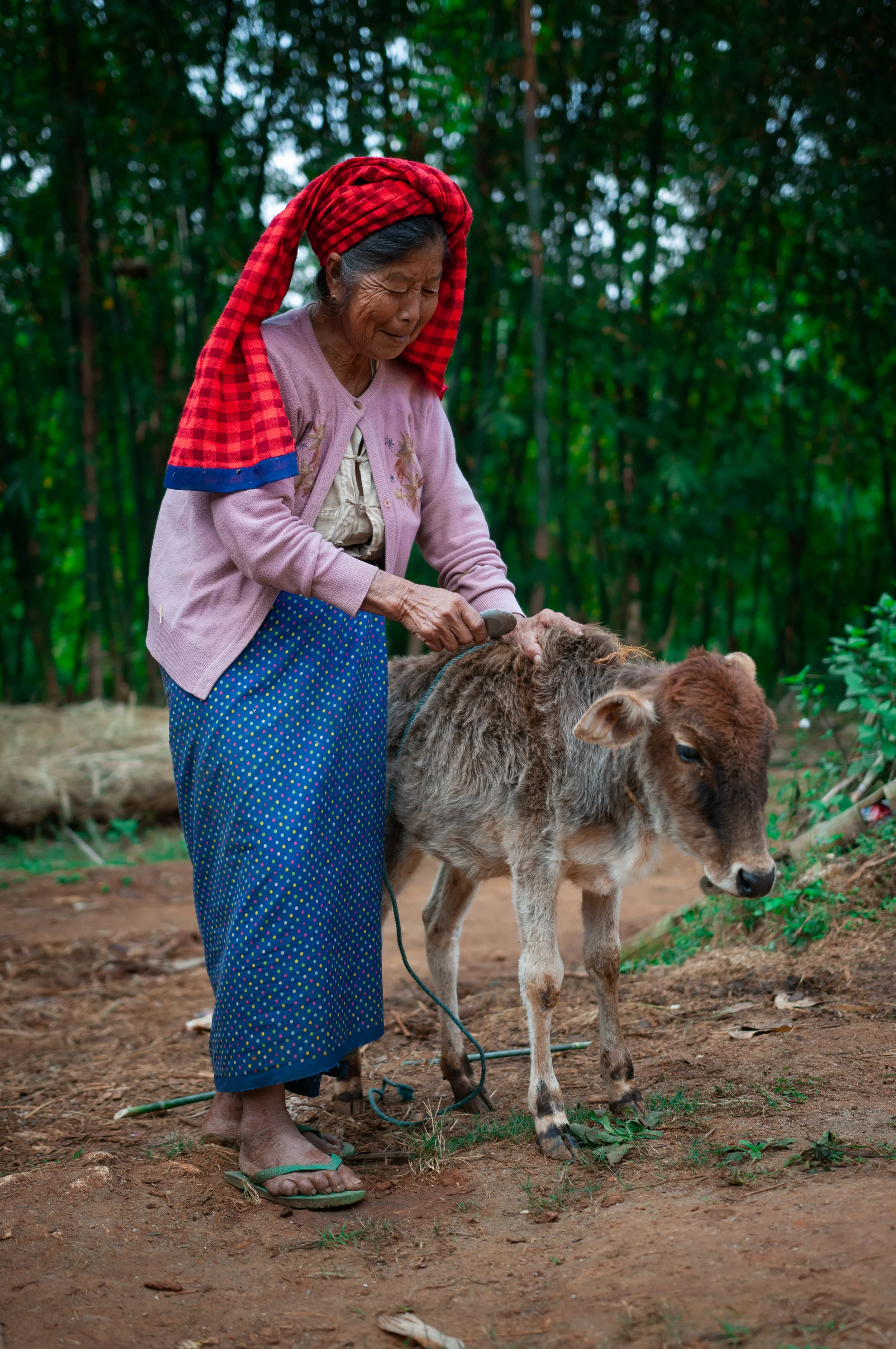 Myanmar-4301.jpg