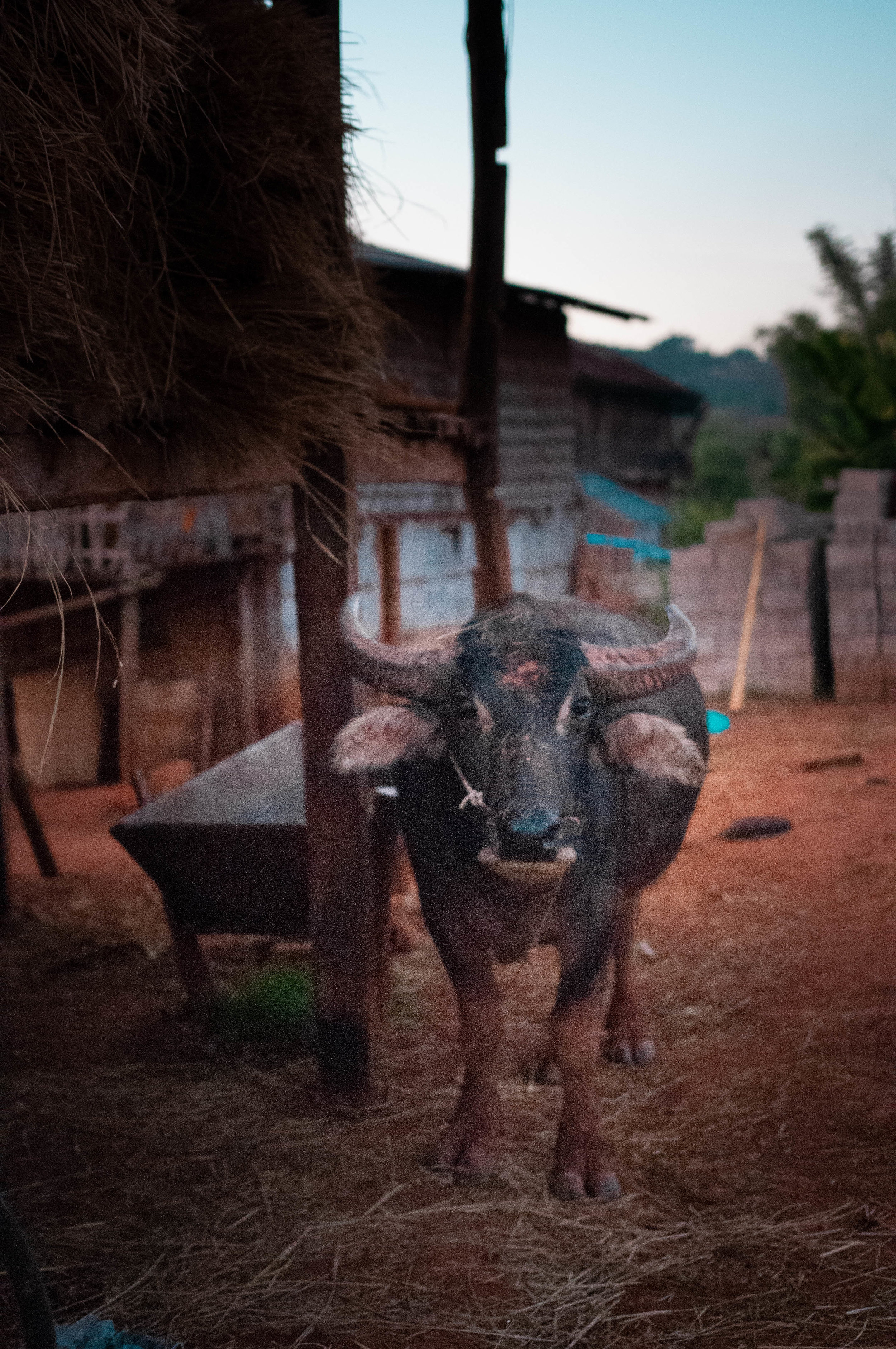 Myanmar-4286.jpg