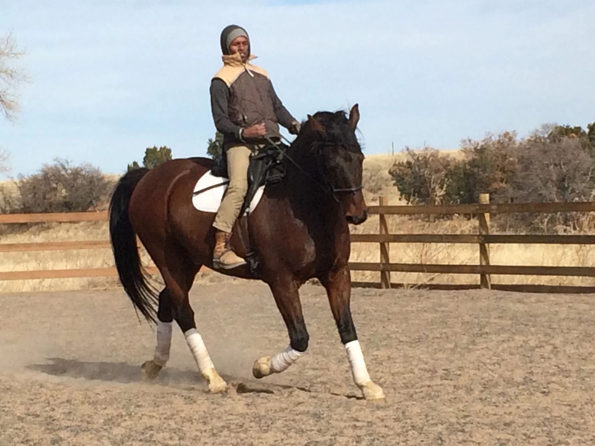Clinician Nahshon Cook takes Geronimo for a spin during a session in Wetmore, Colo.