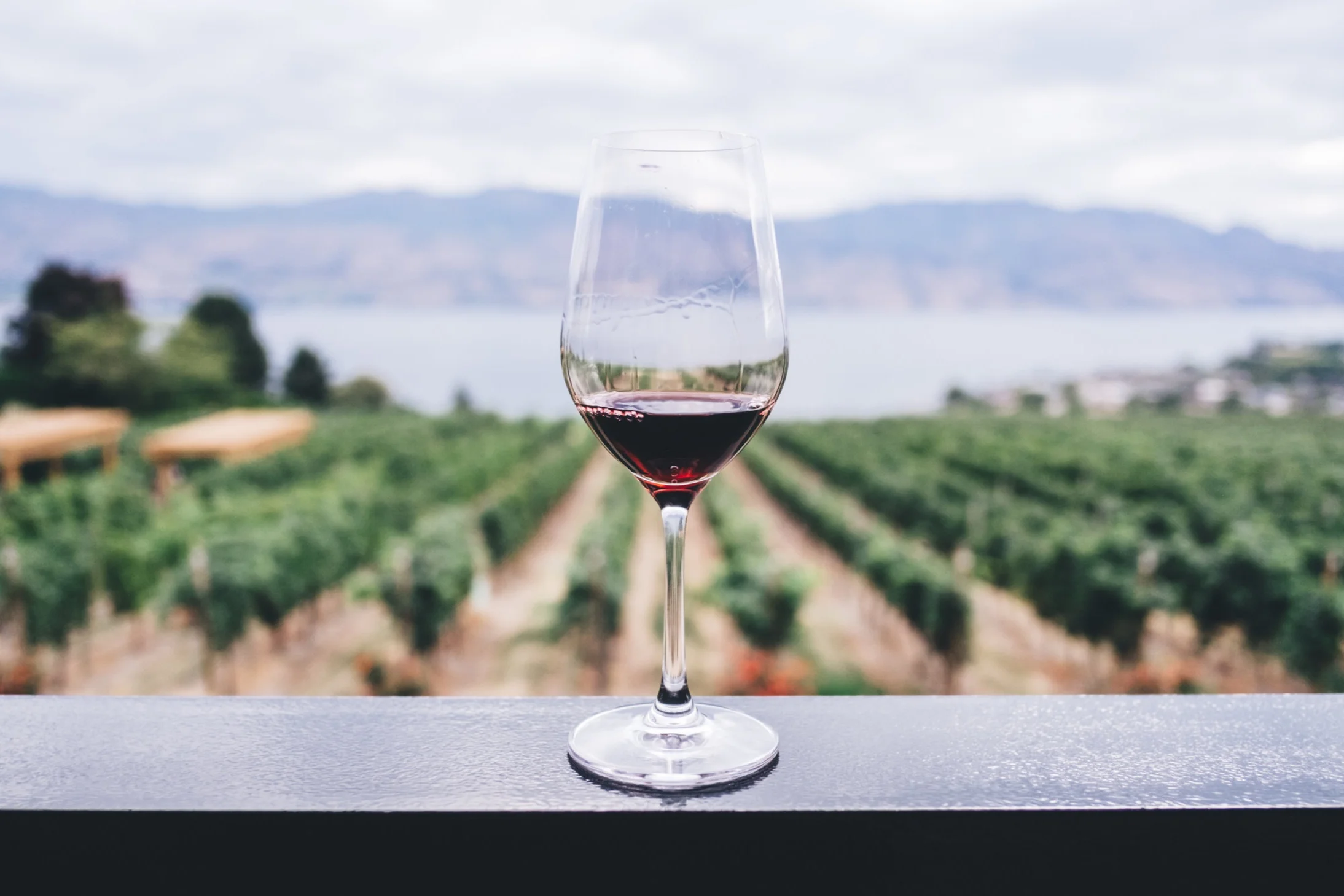 Bulgarians have been at wine for a long, long time.