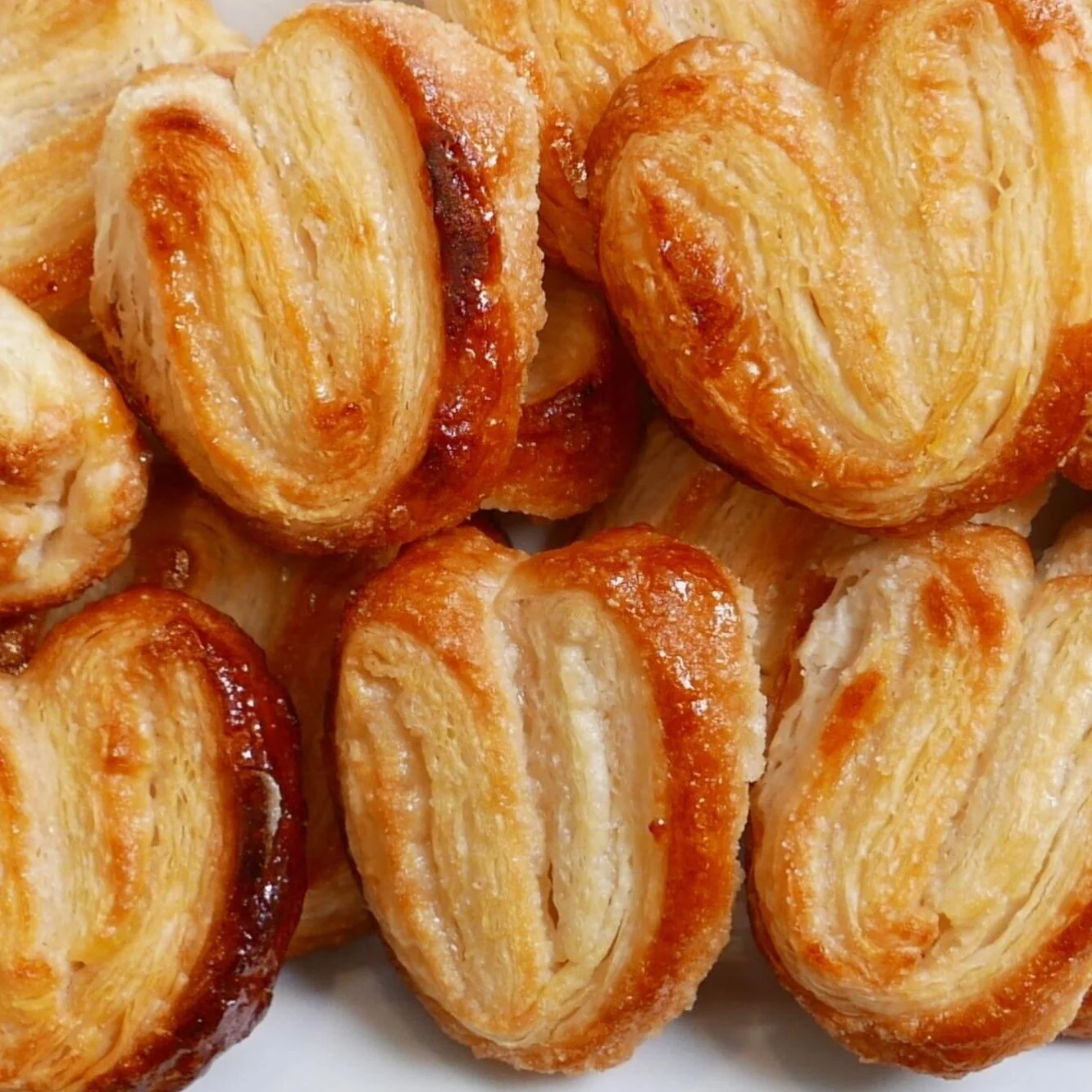 Palmiers