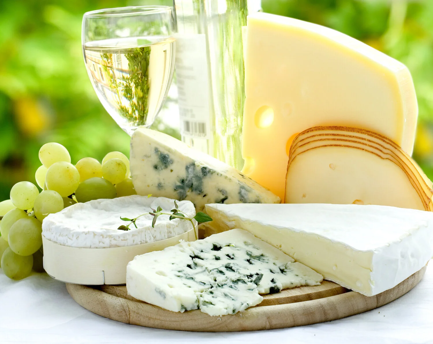 Wine &amp; Cheese Pairing for Beginners