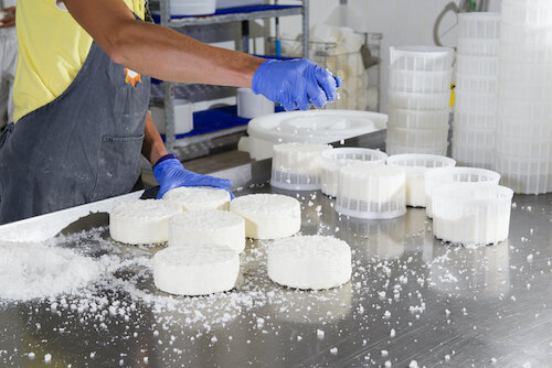 From Milk to Wheel - Cheesemaking 101.