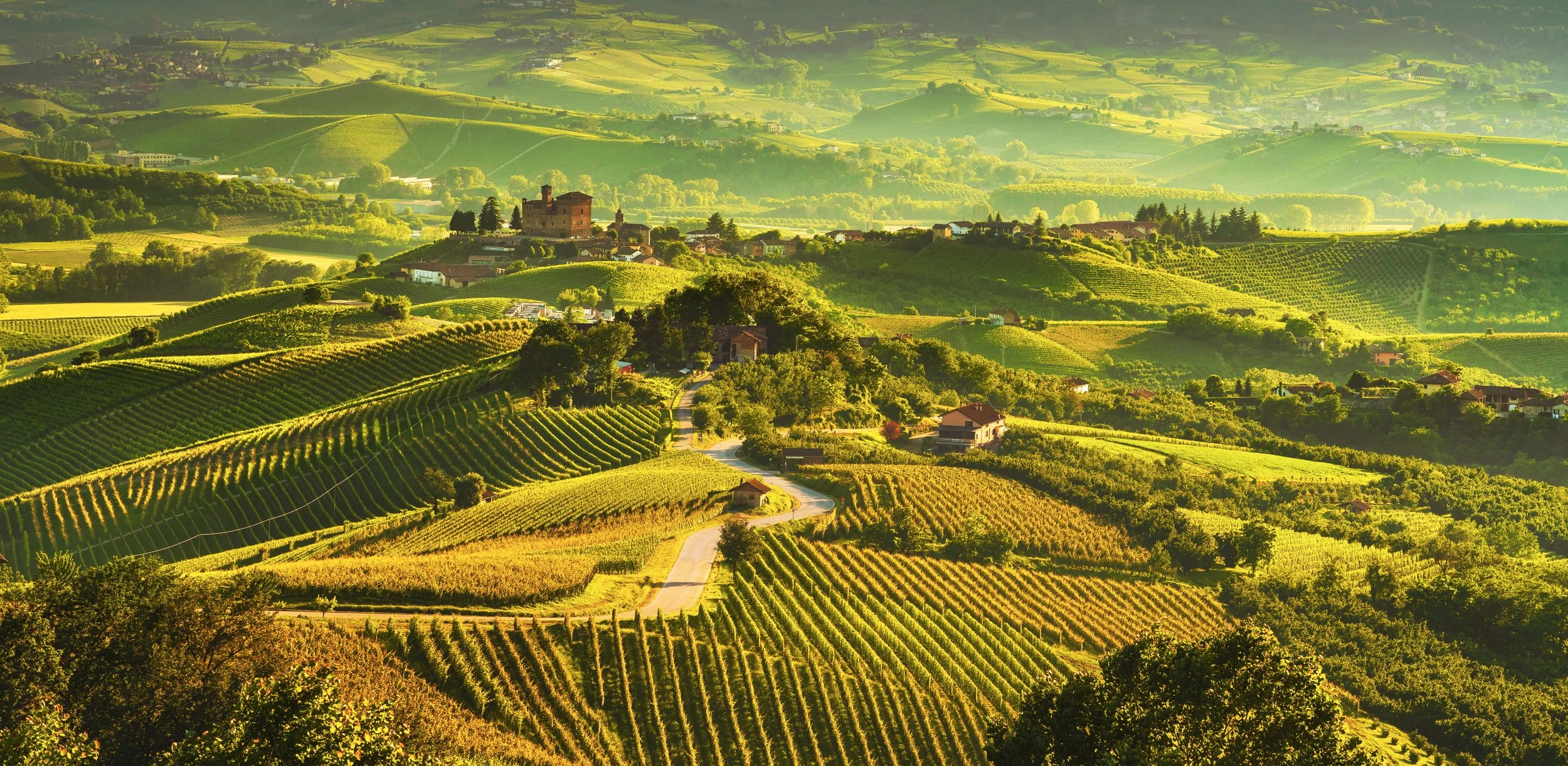 Culinary Adventure - Wine & Cheese in the Piedmont!
