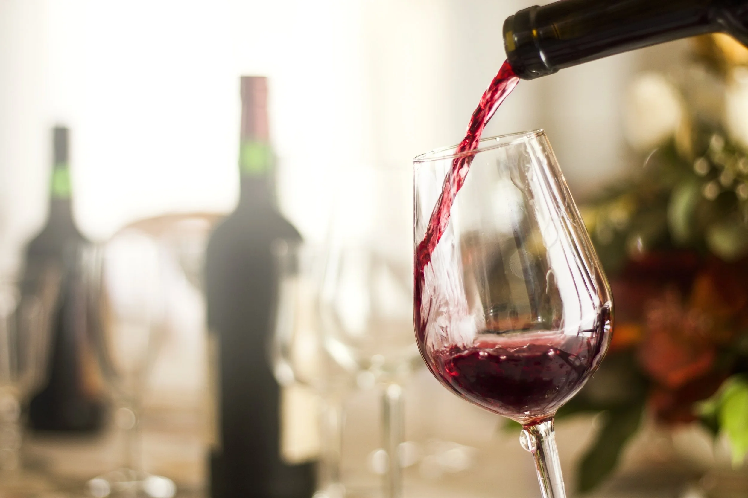 Wine &amp; Cheese Pairing - Pinot Noir