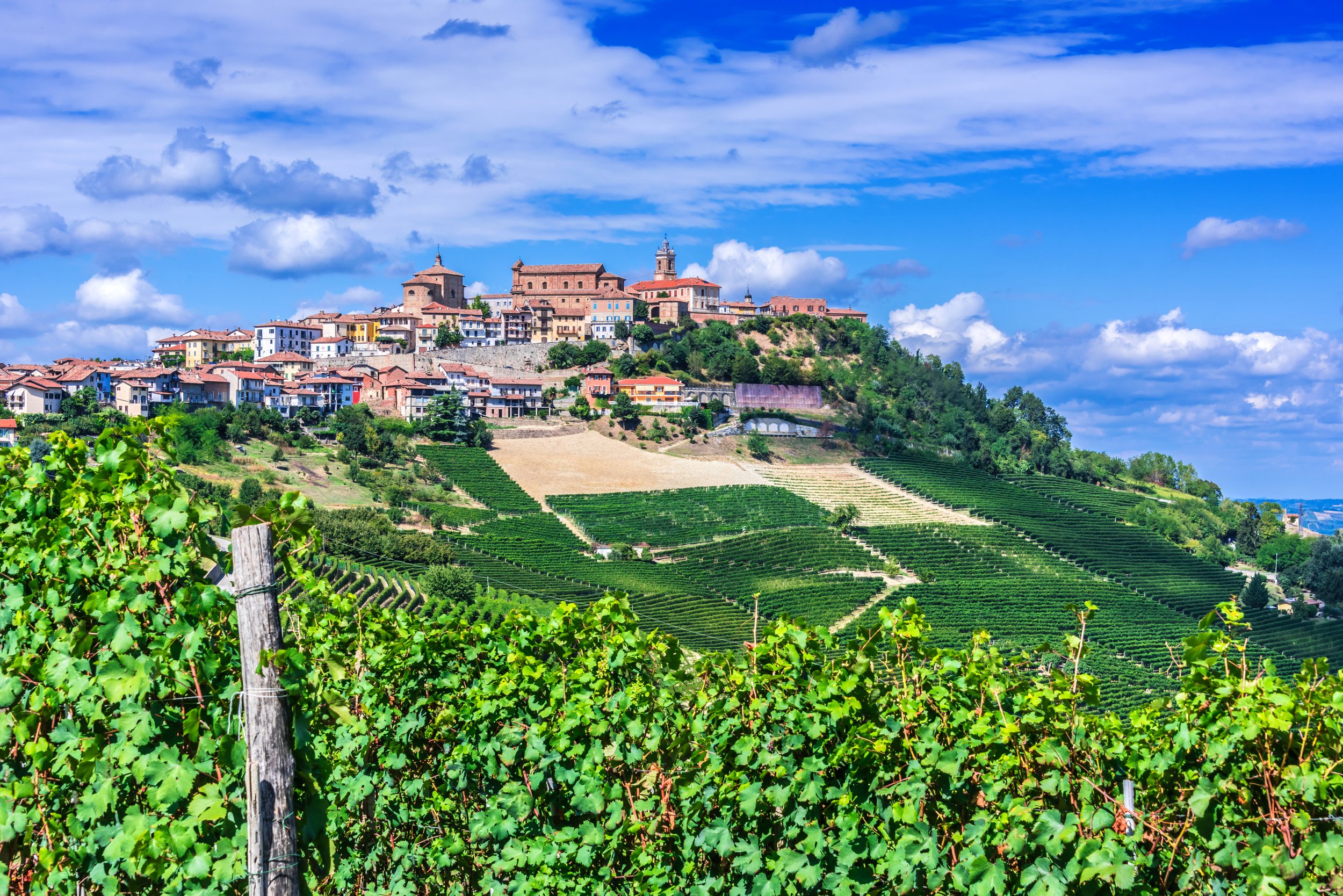 Vino e Formaggio - The Wine & Cheese of Northern Italy!