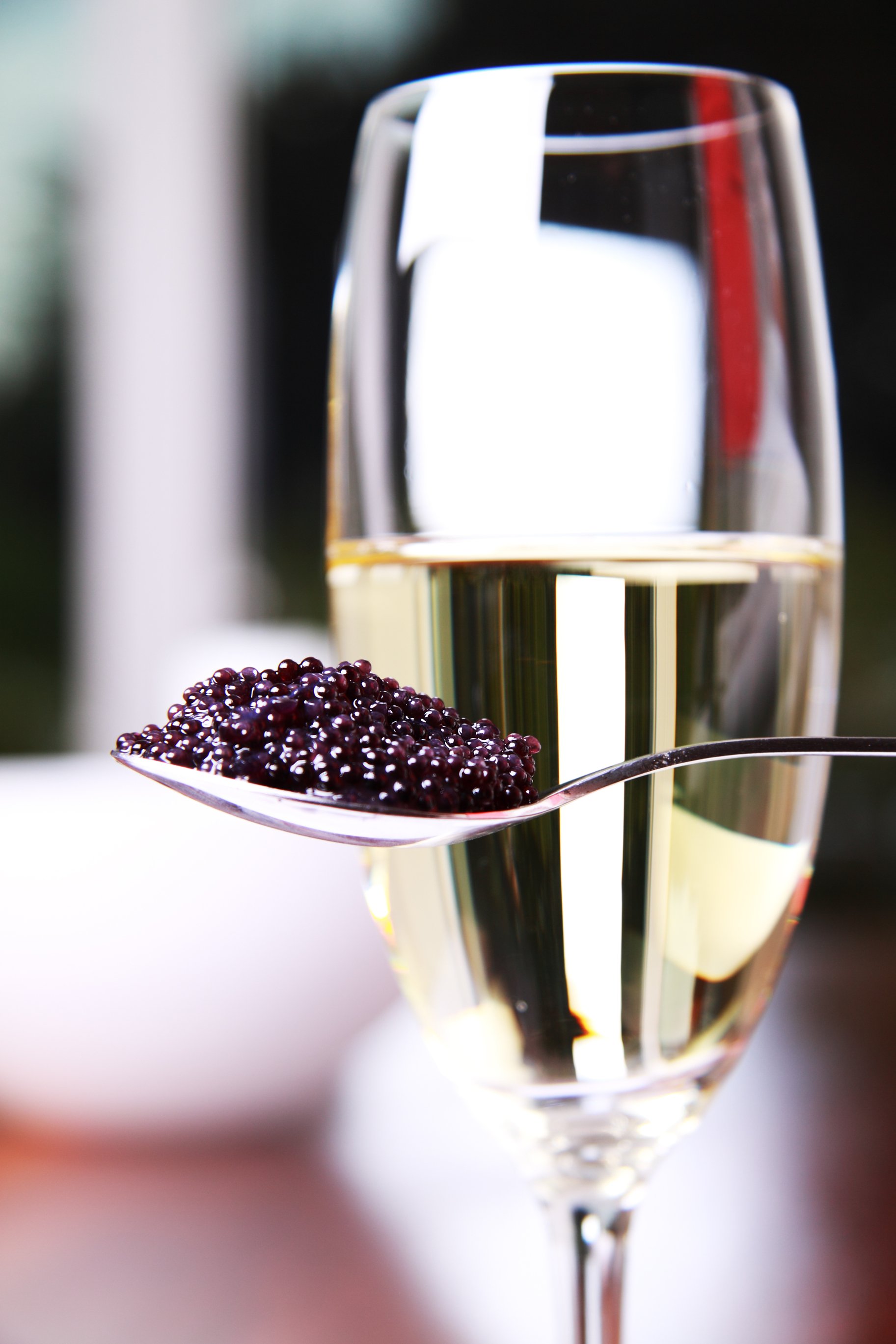 Caviar Russe & Champagne Dinner at the Boston Wine & Food Festival!
