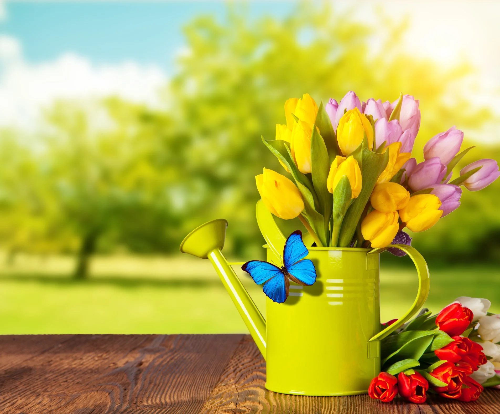 Brighter Days Ahead - Spring Into Wine & Cheese!