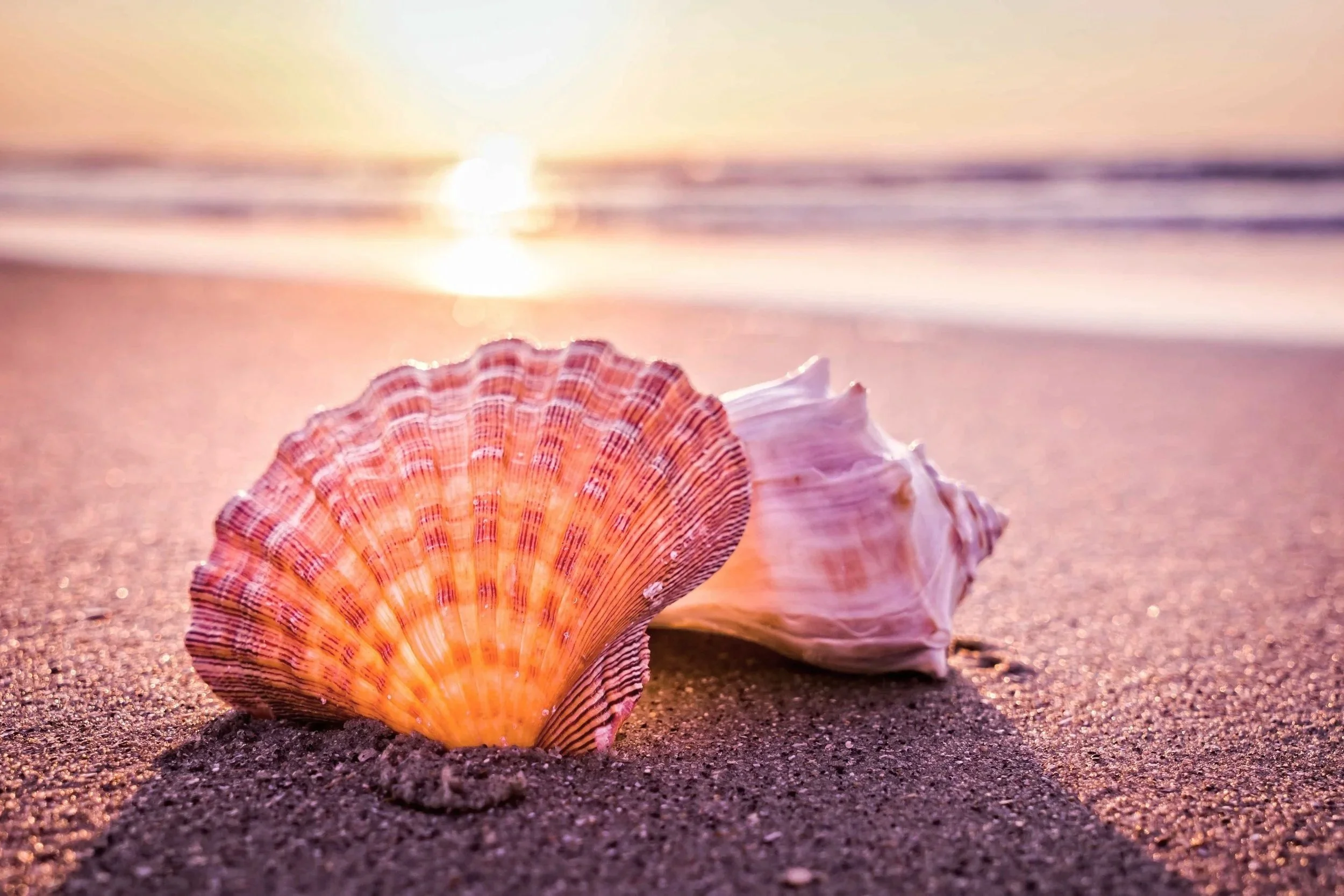 Amera Rose | Spiritual Life Coach, Midwife, Reiki Master & Intuitive Consultant | Holistic Guidance & Support for Women on Their Inner Journey - Spiritual Coaching, Soulful Mama Coaching & Reiki Energy Healing