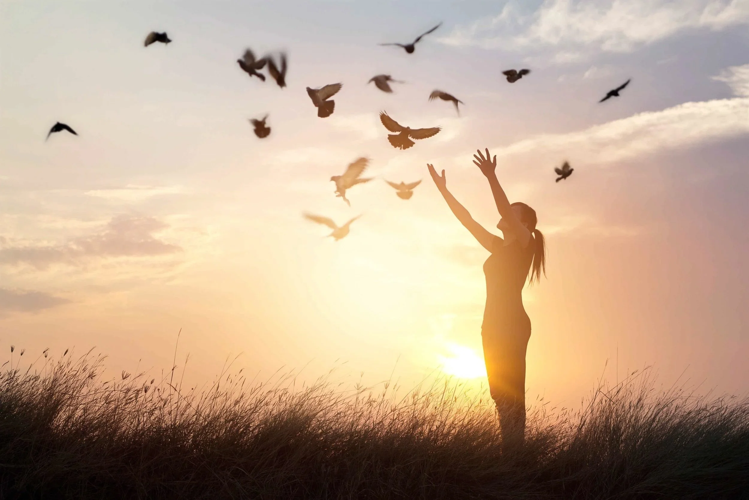 Amera Rose | Spiritual Life Coach, Midwife, Reiki Master & Intuitive Consultant | Holistic Guidance & Support for Women on Their Inner Journey - Spiritual Coaching, Soulful Mama Coaching & Reiki Energy Healing