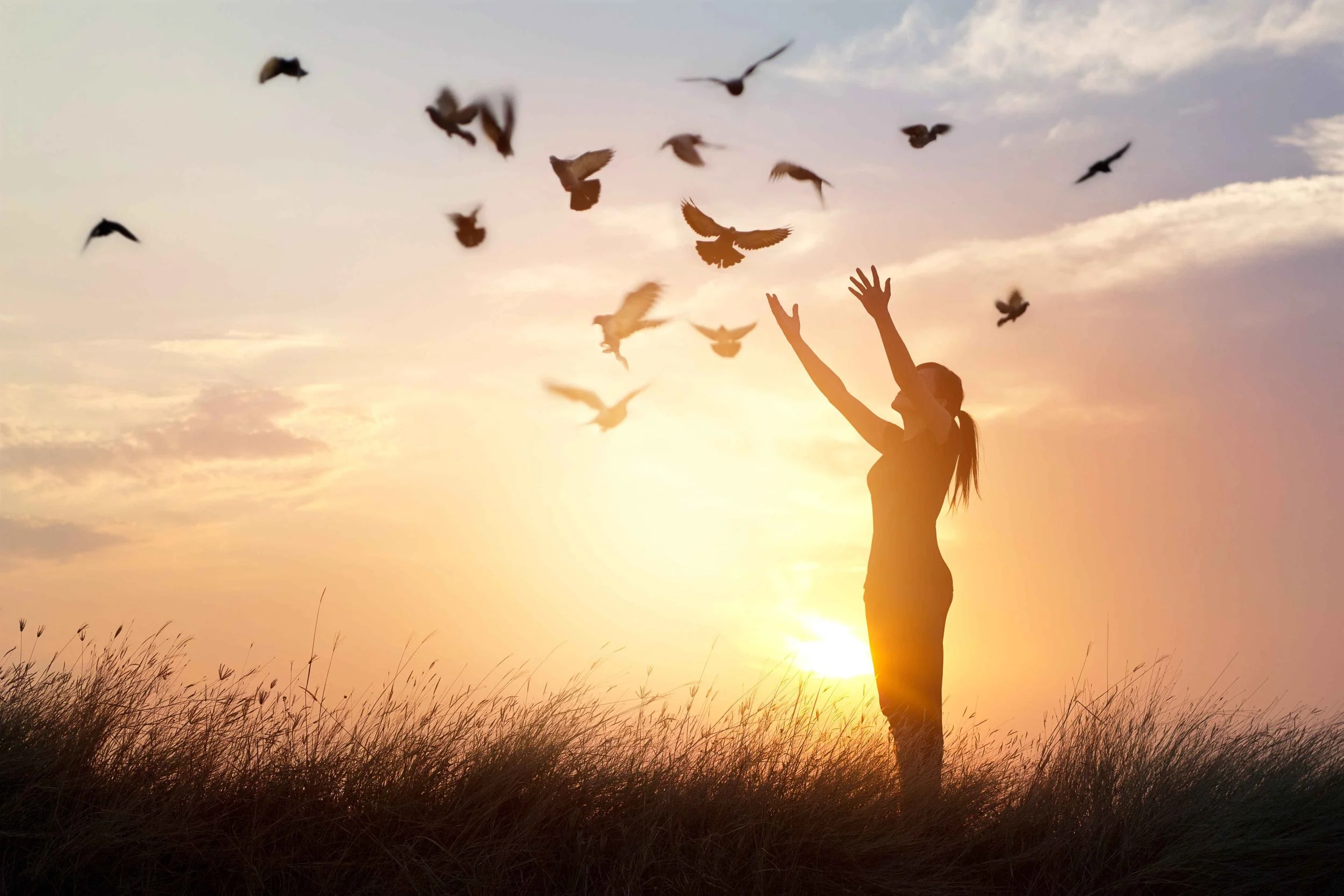 Amera Rose | Spiritual Life Coach, Midwife, Reiki Master & Intuitive Consultant | Holistic Guidance & Support for Women on Their Inner Journey - Spiritual Coaching, Soulful Mama Coaching & Reiki Energy Healing