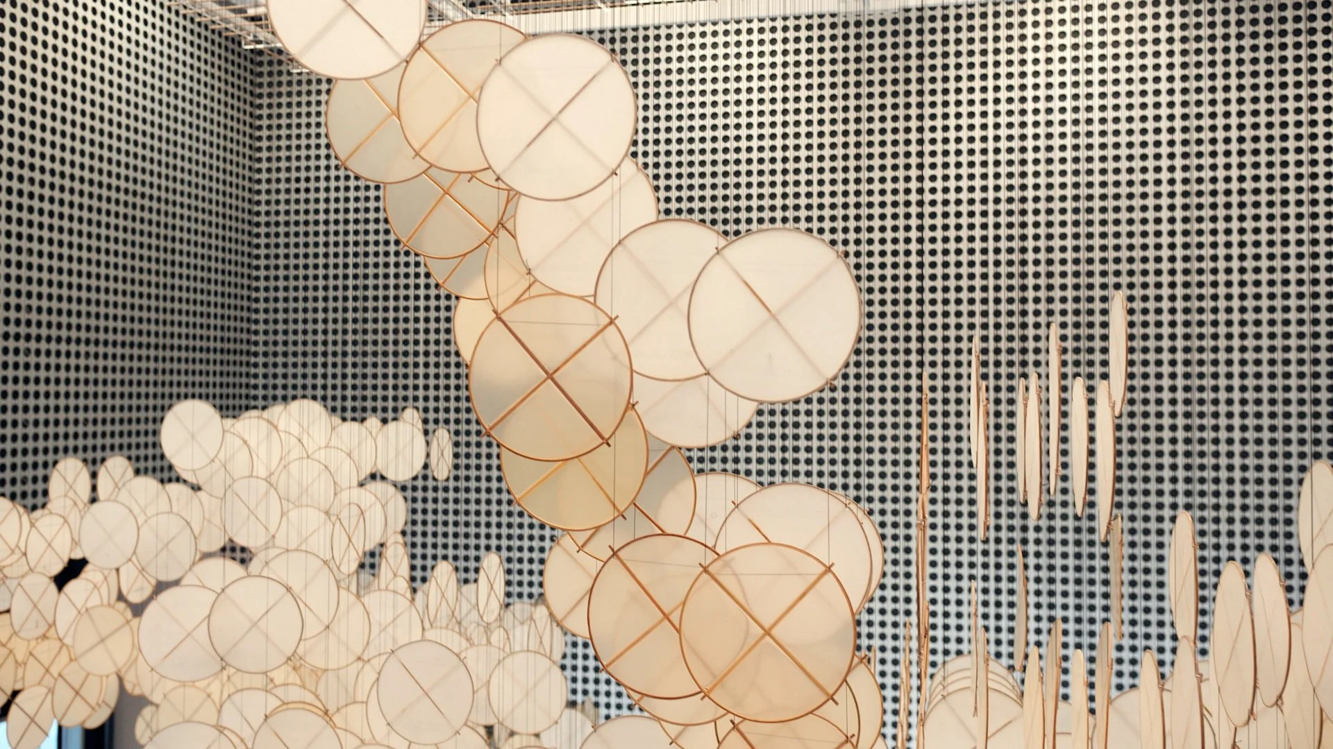 Hashimoto's Pattern This Particle of Dust — Jacob Hashimoto