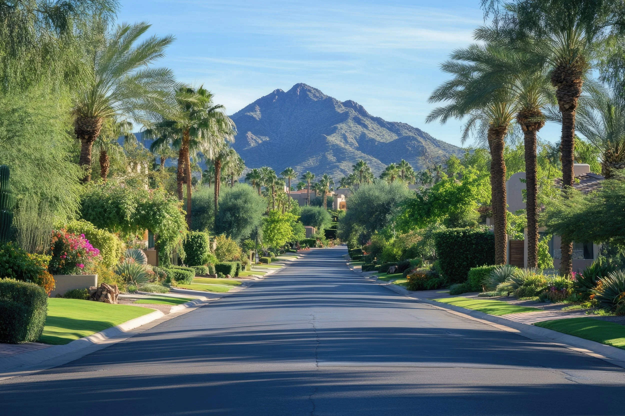 Community pic PV Website.jpeg