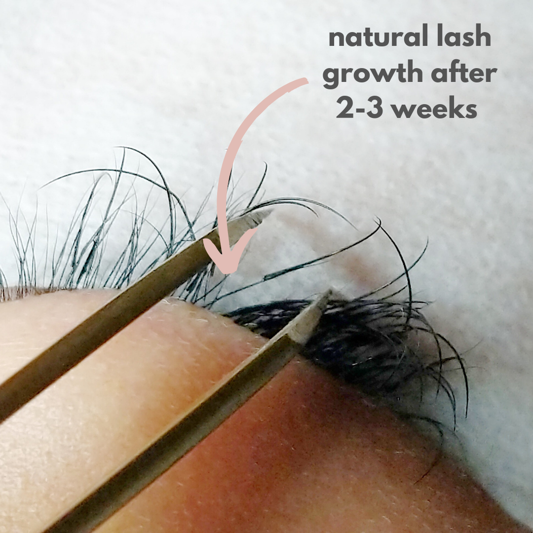 The Monolid Guide to Lash Extensions — Nurse Clara