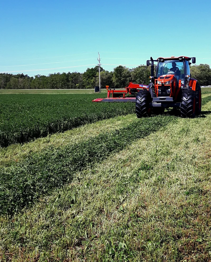 Steinbach-Haying.jpg