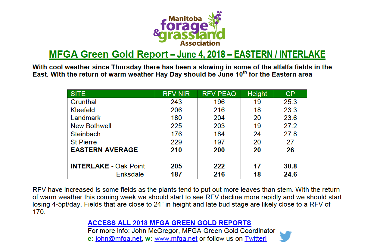 Green-Gold-Report.png