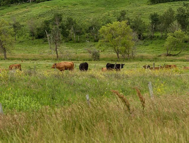 172-Preston Farm-Misc_.jpg