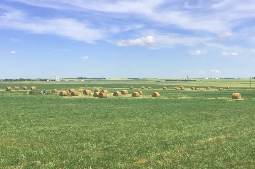 5) Vansteelandt Family Farm