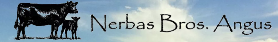 nerbas_bros_angus_logo_narrow.png