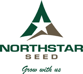 northstar_seed_ logo.png