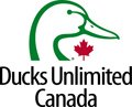 duck logo with maple leaf - reduced.jpg