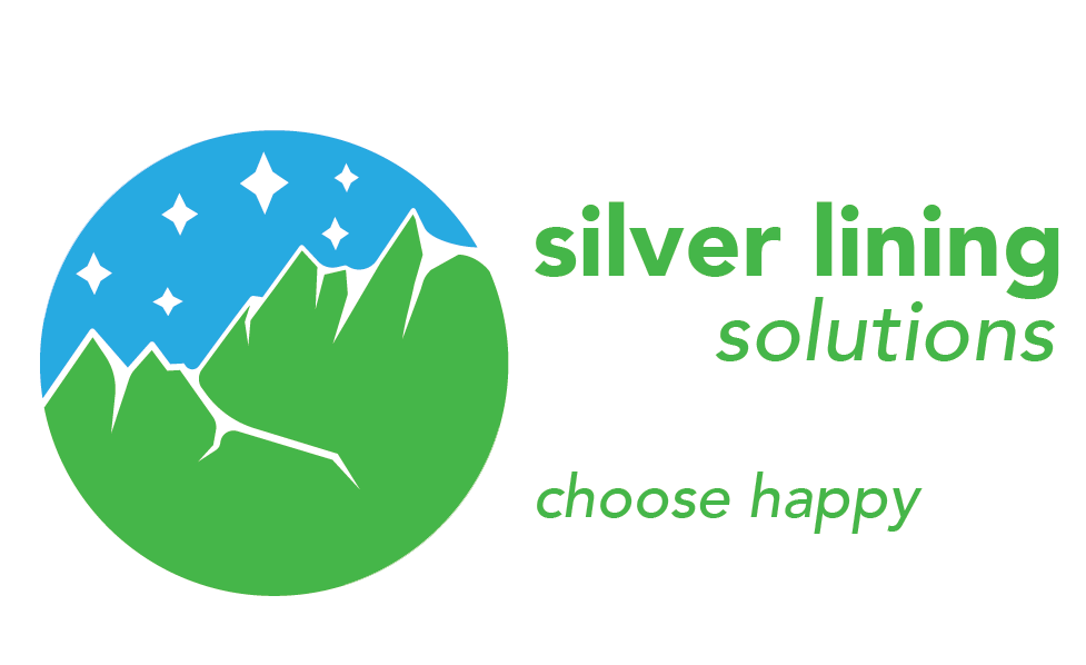 silver lining solutions