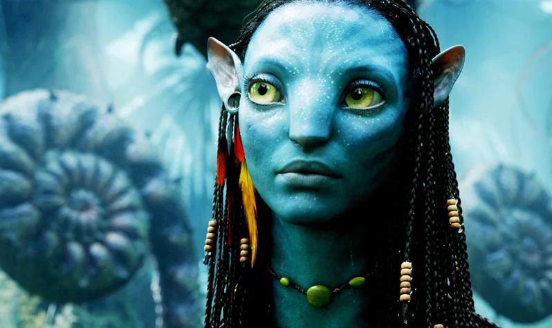 avatar.jpg