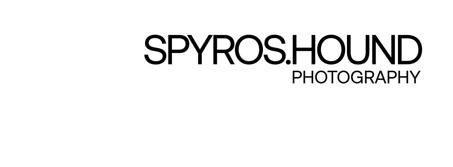 Spyros Hound Photography