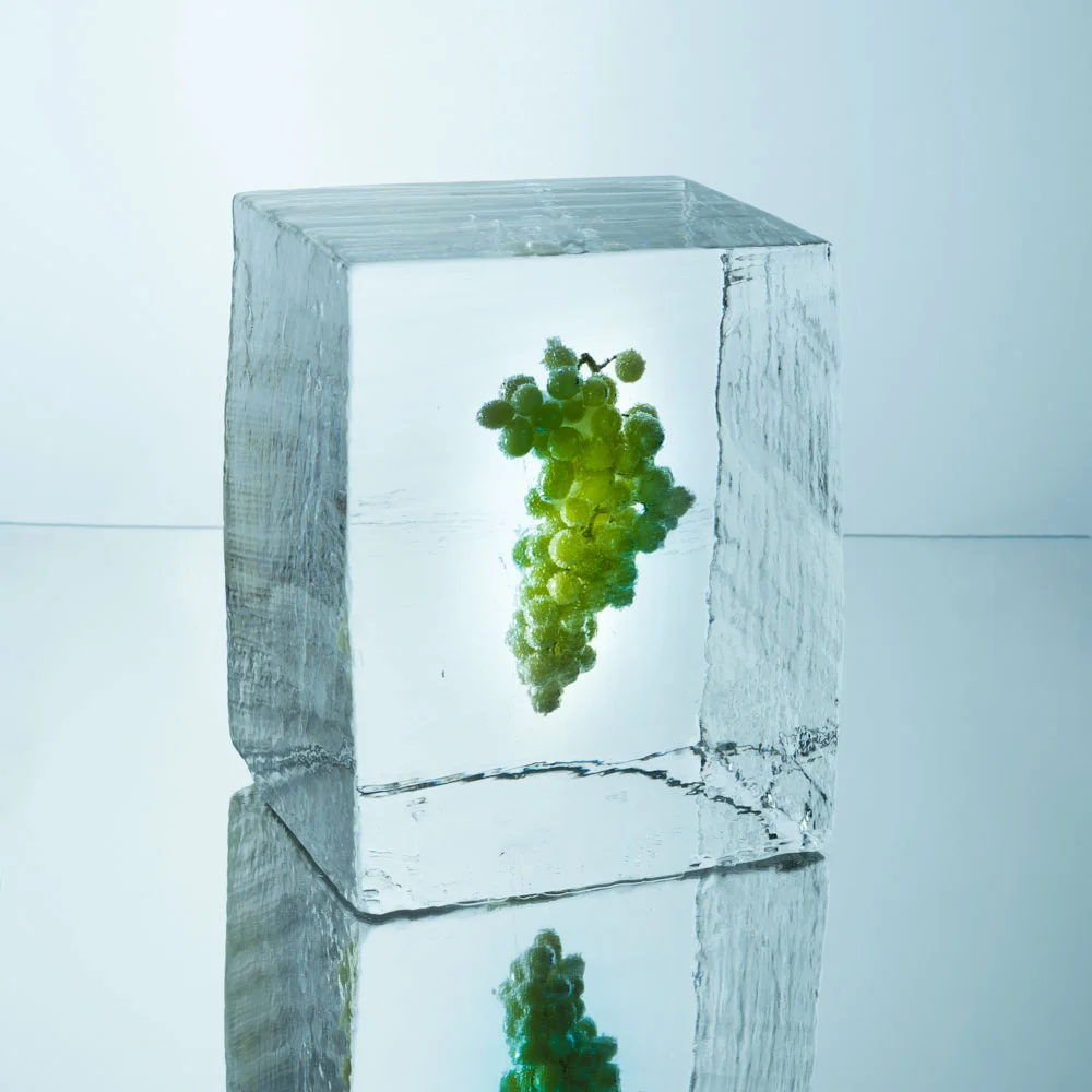 nord_ice_cube-22.jpg