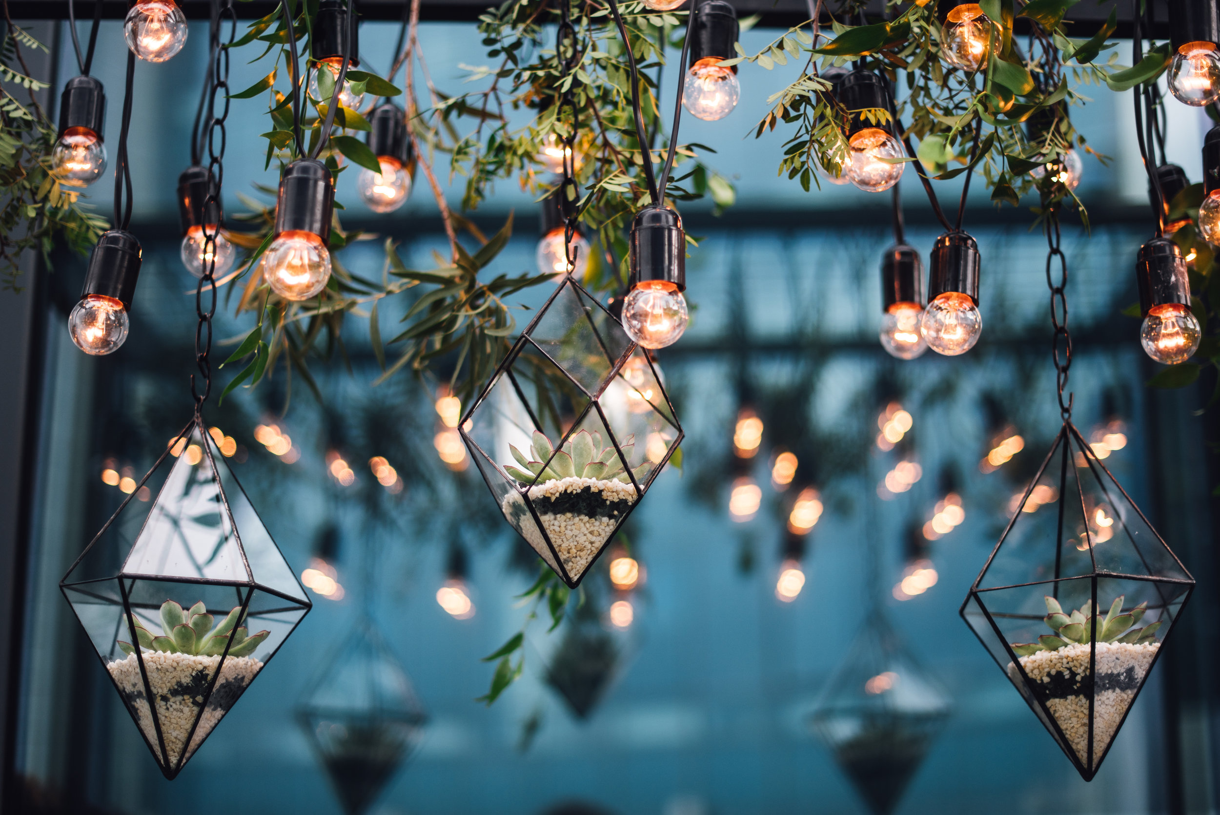 AdobeStock_196655032.jpeg