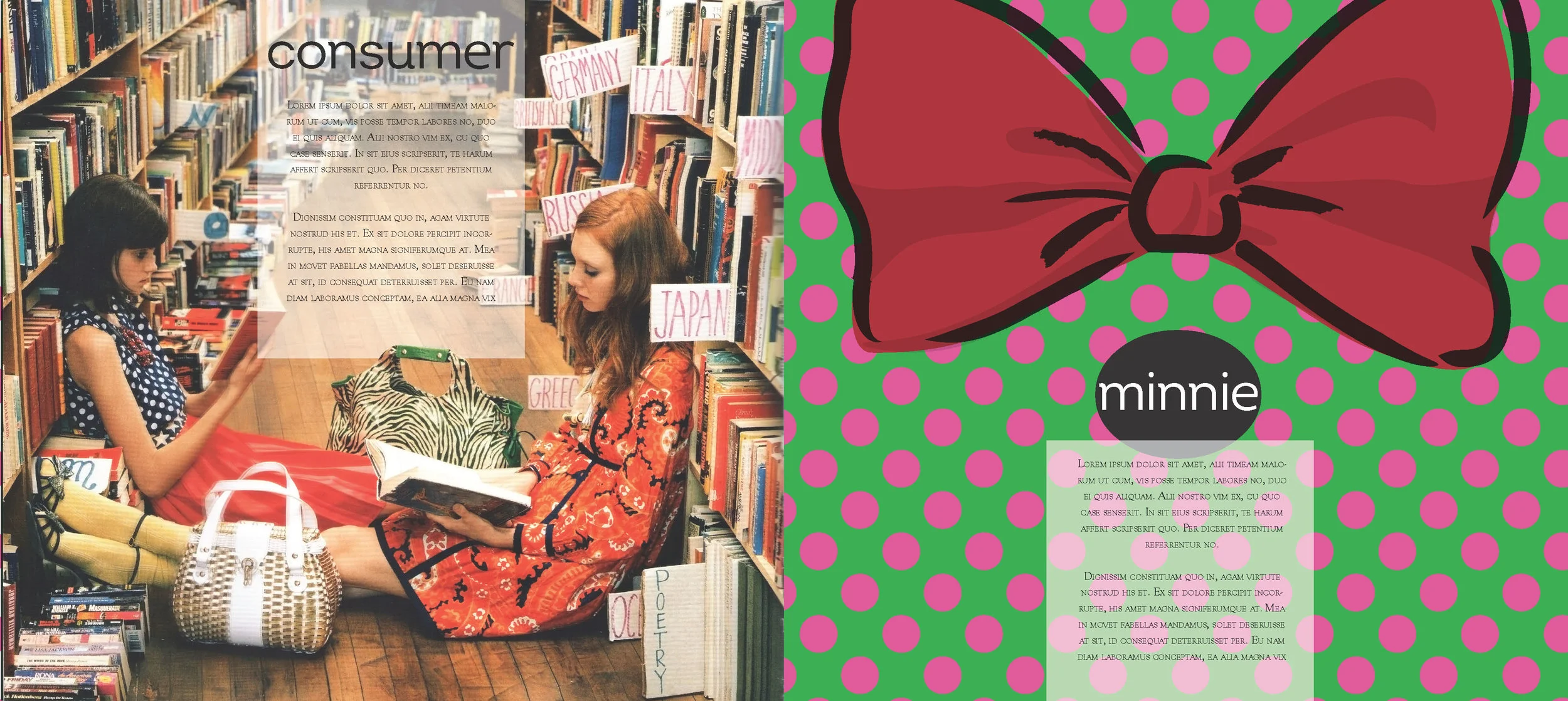 minnie+KateSpade3_Page_3.jpg