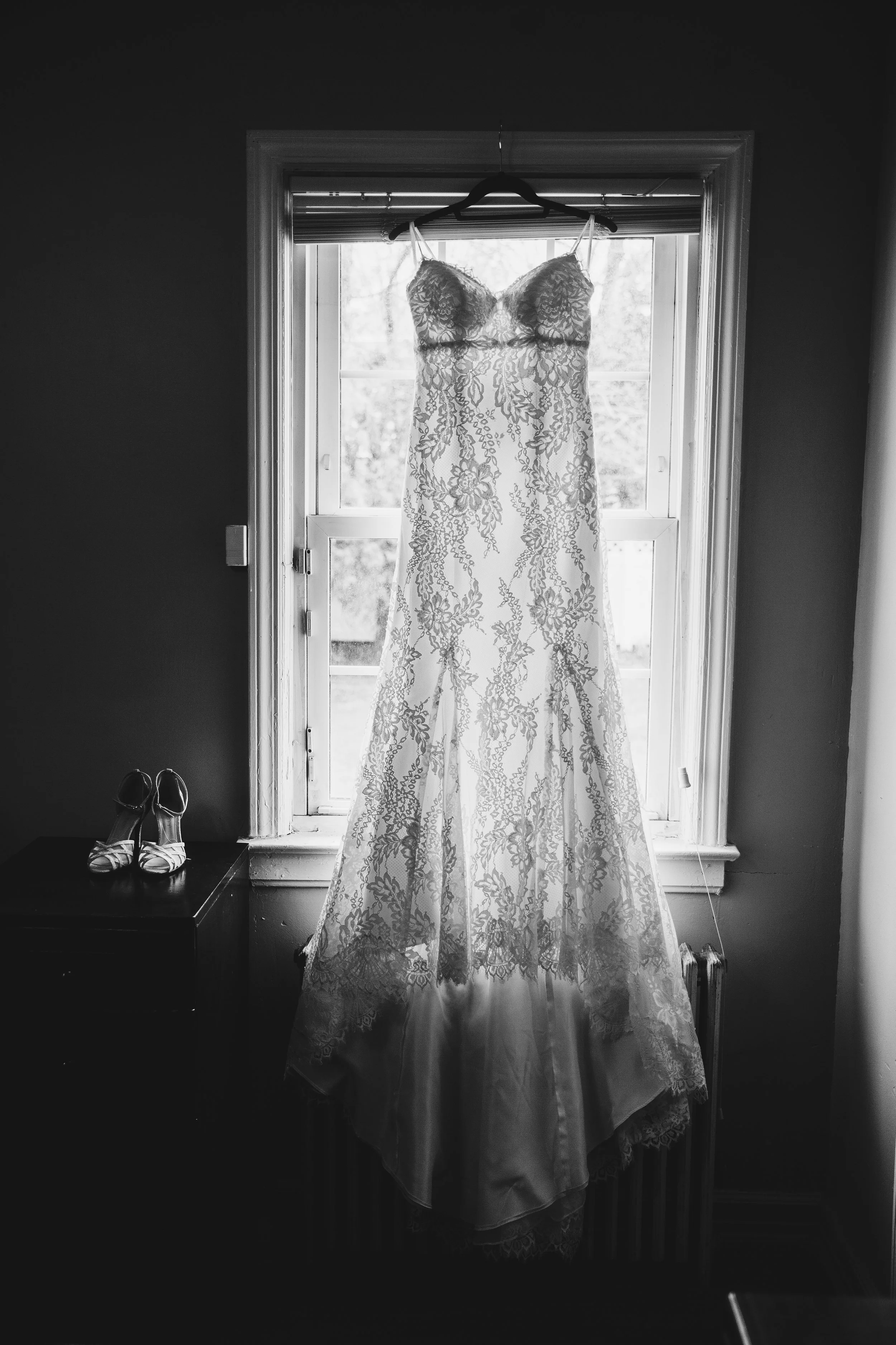 The Gown 2.jpg