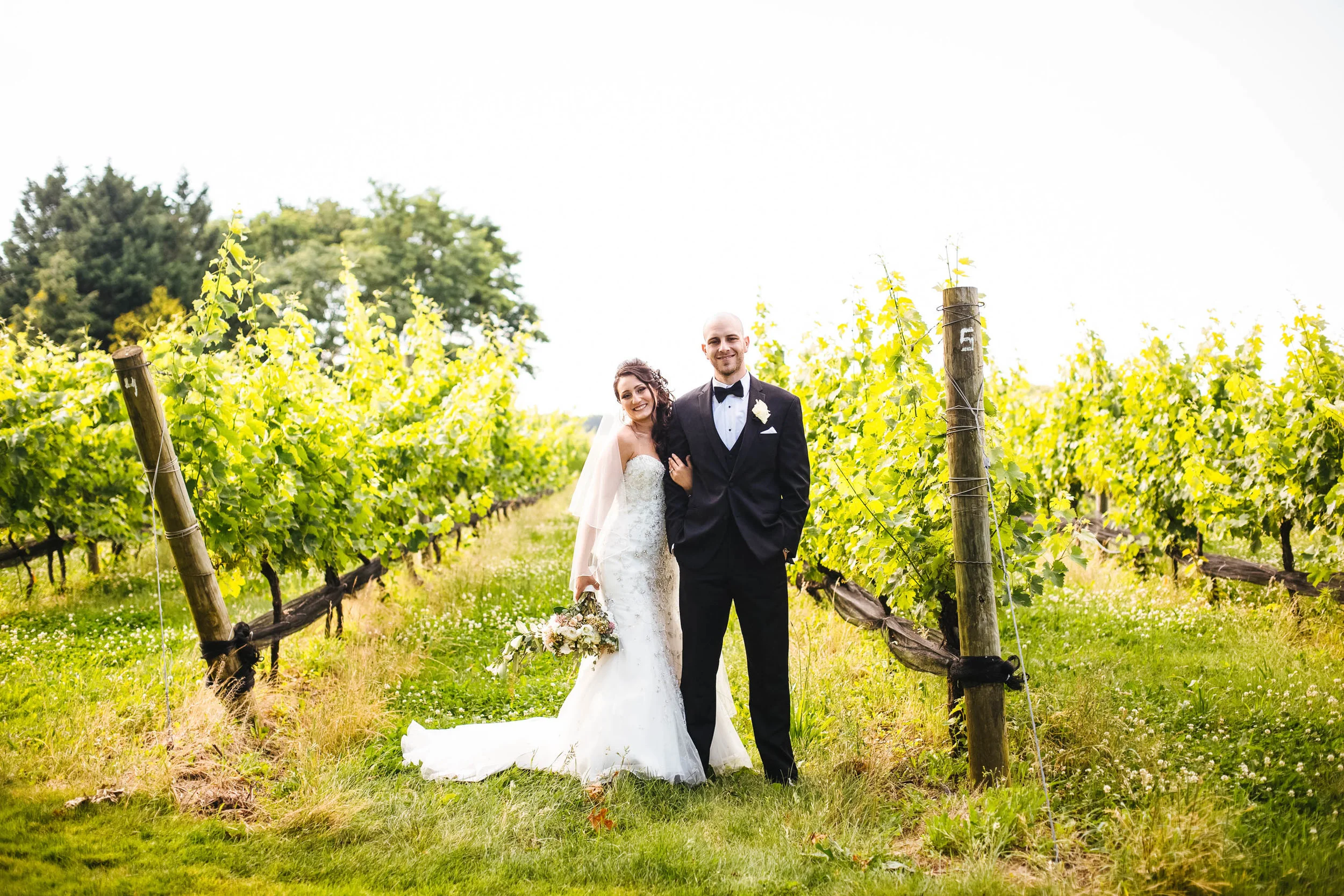 The Vineyards at Aquebogue 