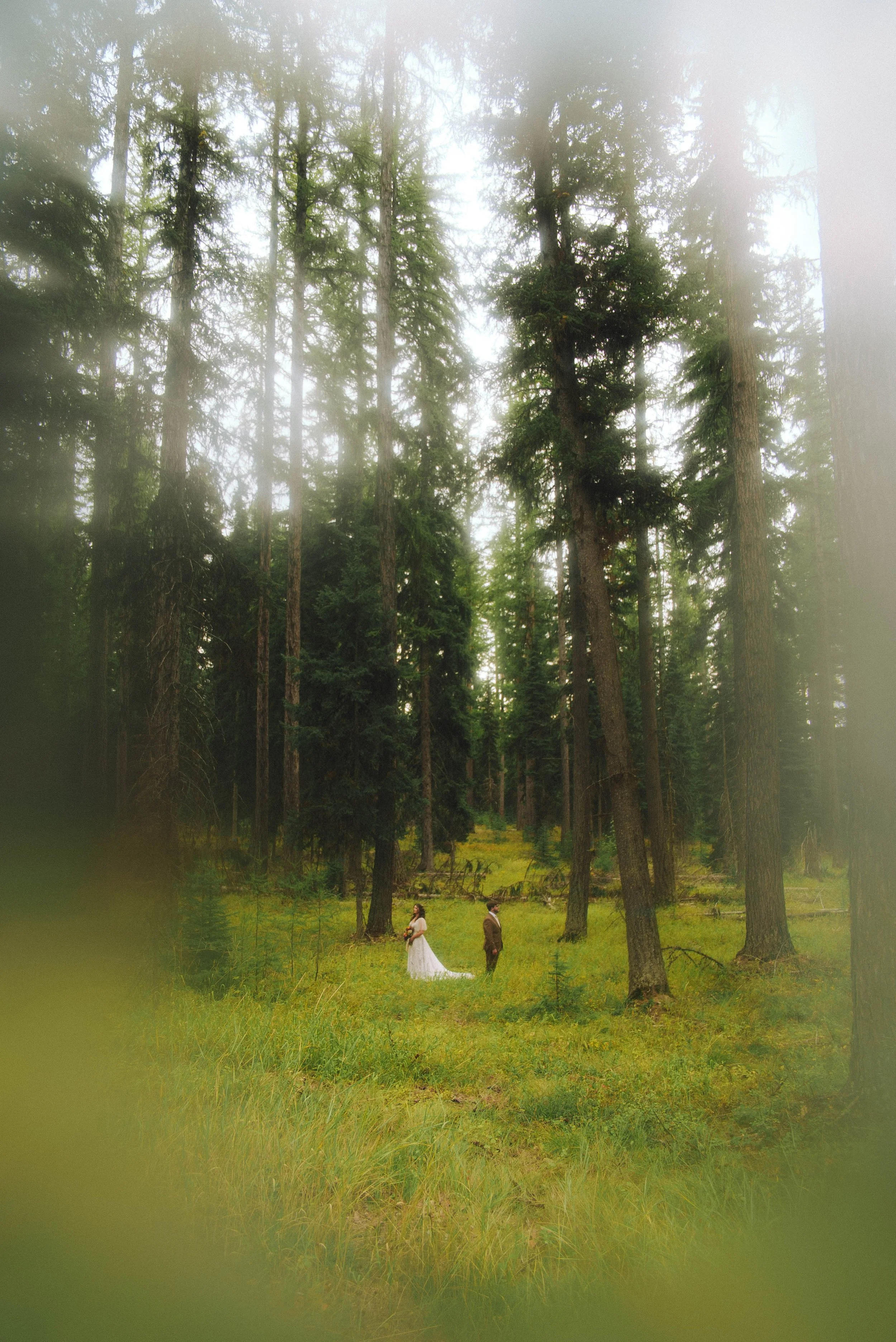 maddison + colin | highlights-4.jpg