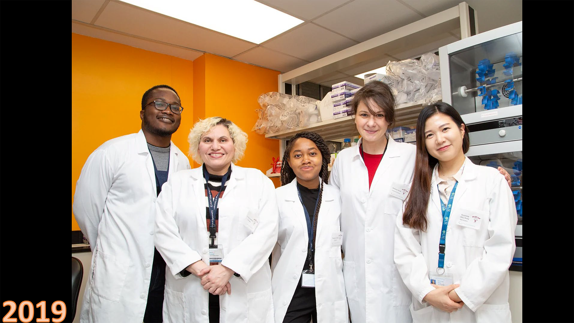 gallery lab-2 red.png