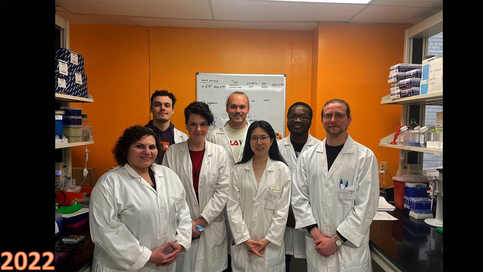 gallery lab-4 red.png