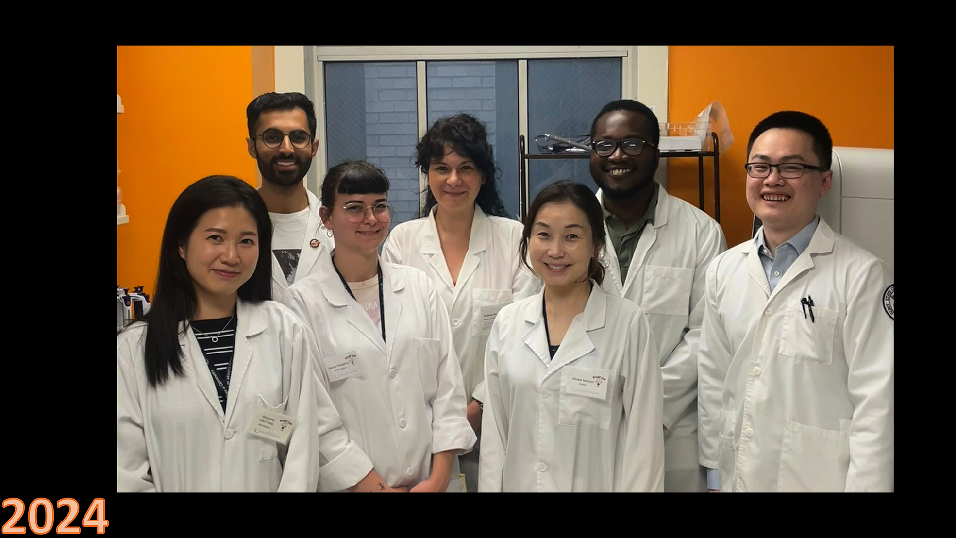 gallery lab-5 red.png