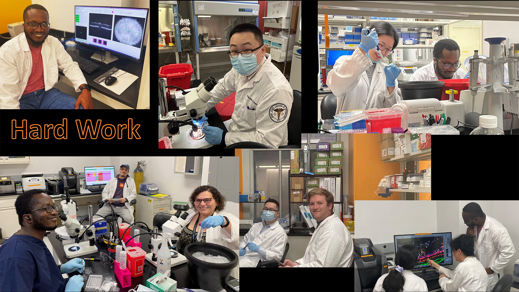 gallery lab-6 red.png