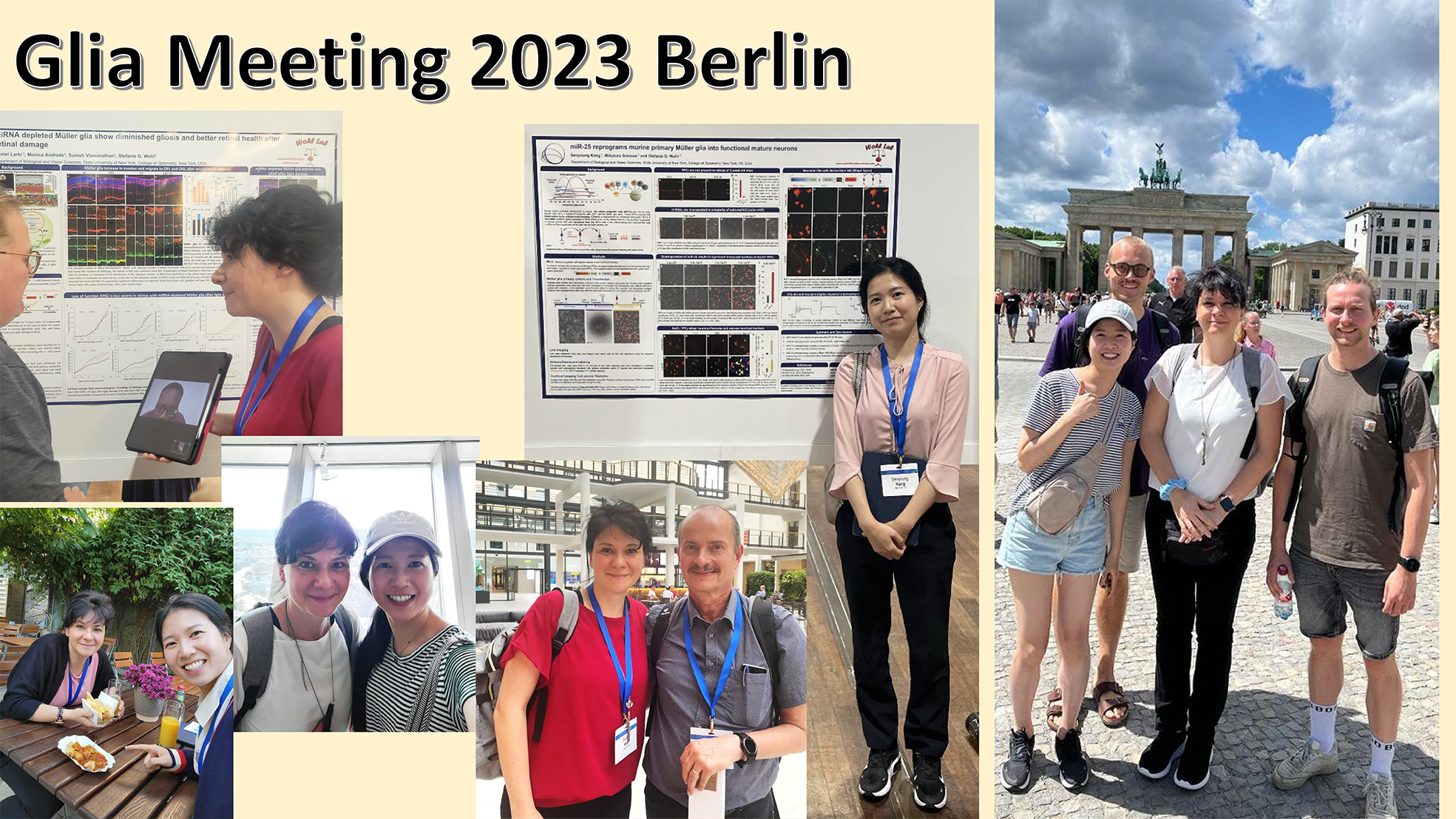 gallery lab-7 red.png