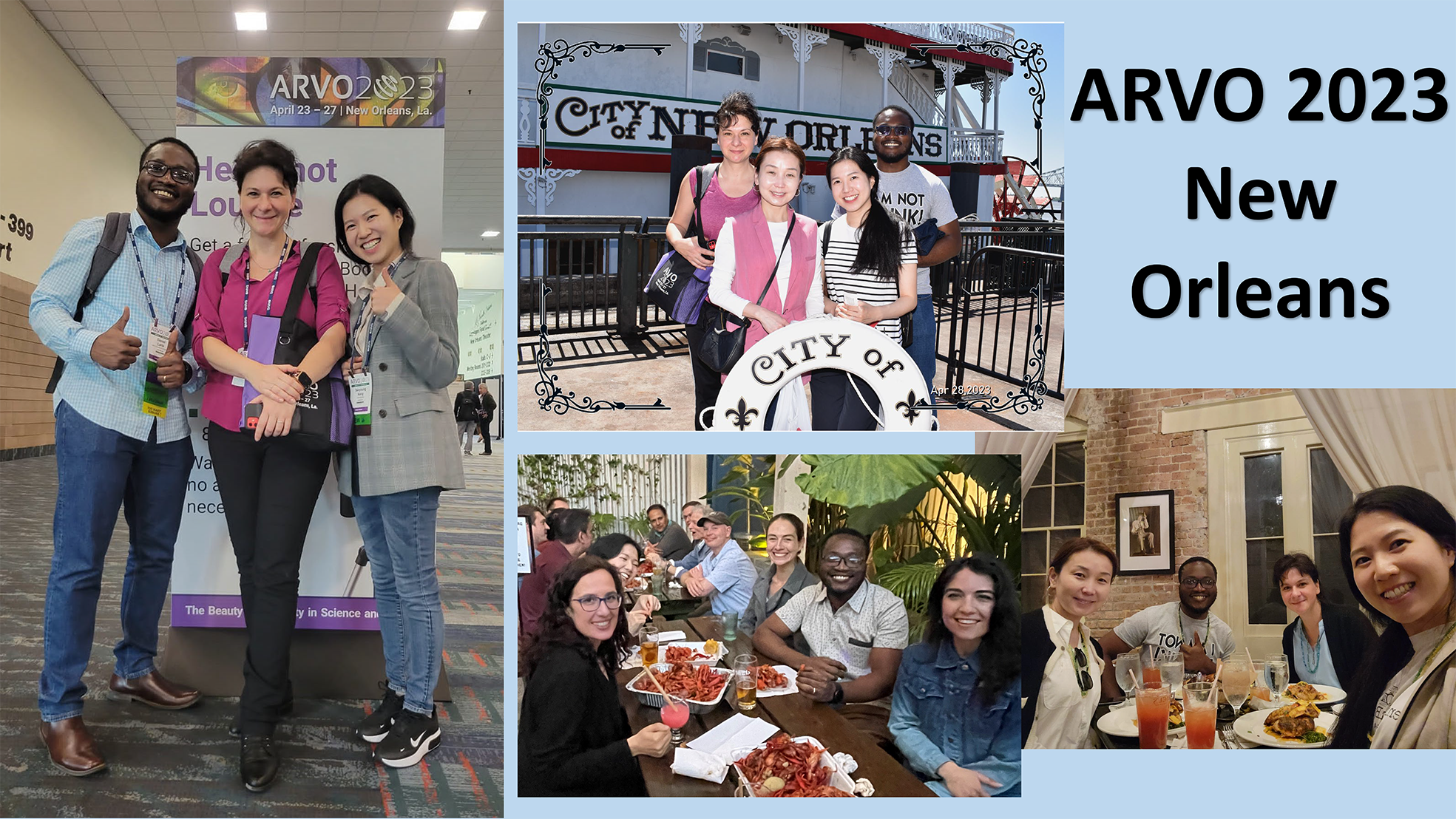 gallery lab-8 red.png